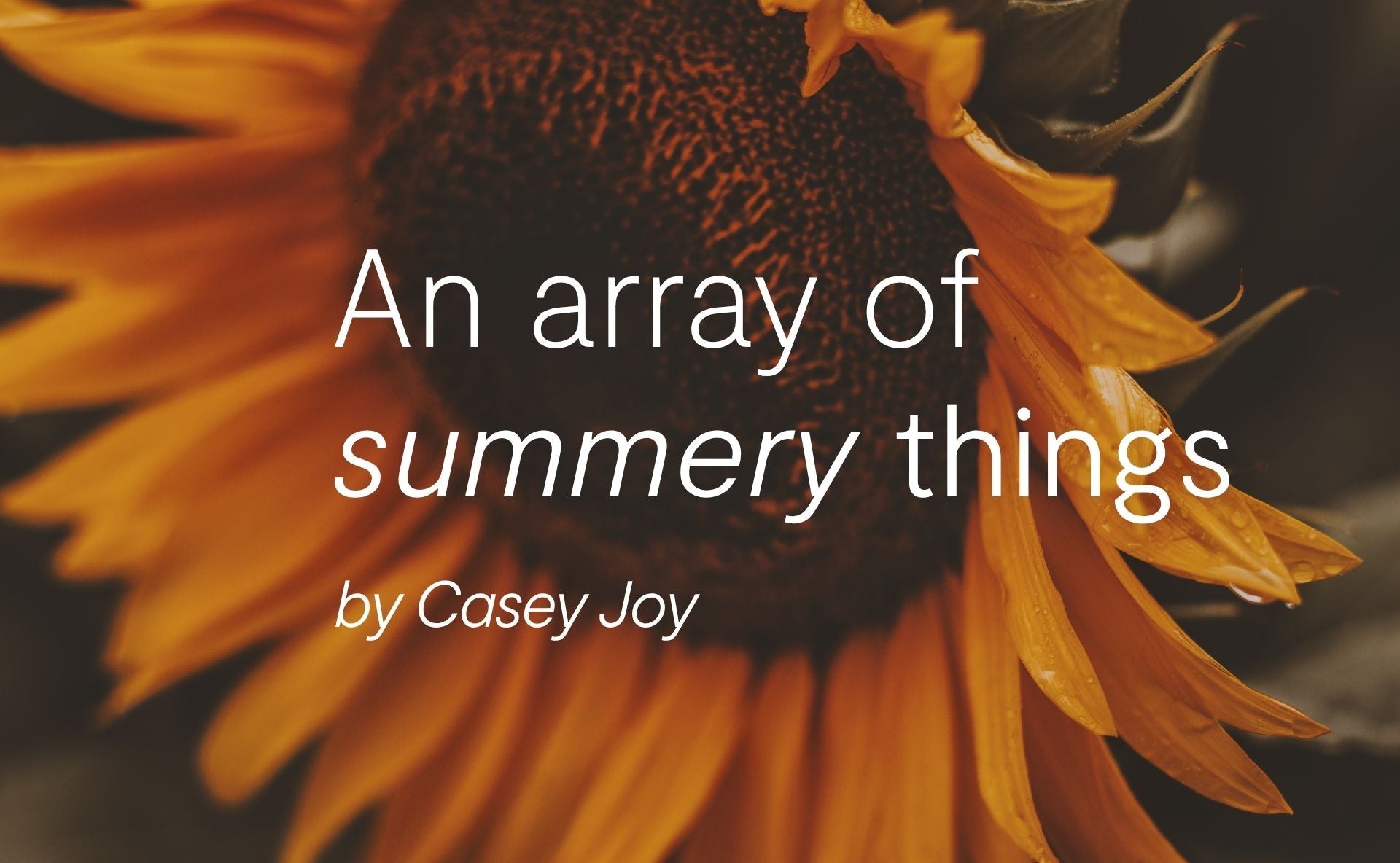 An array of summery things