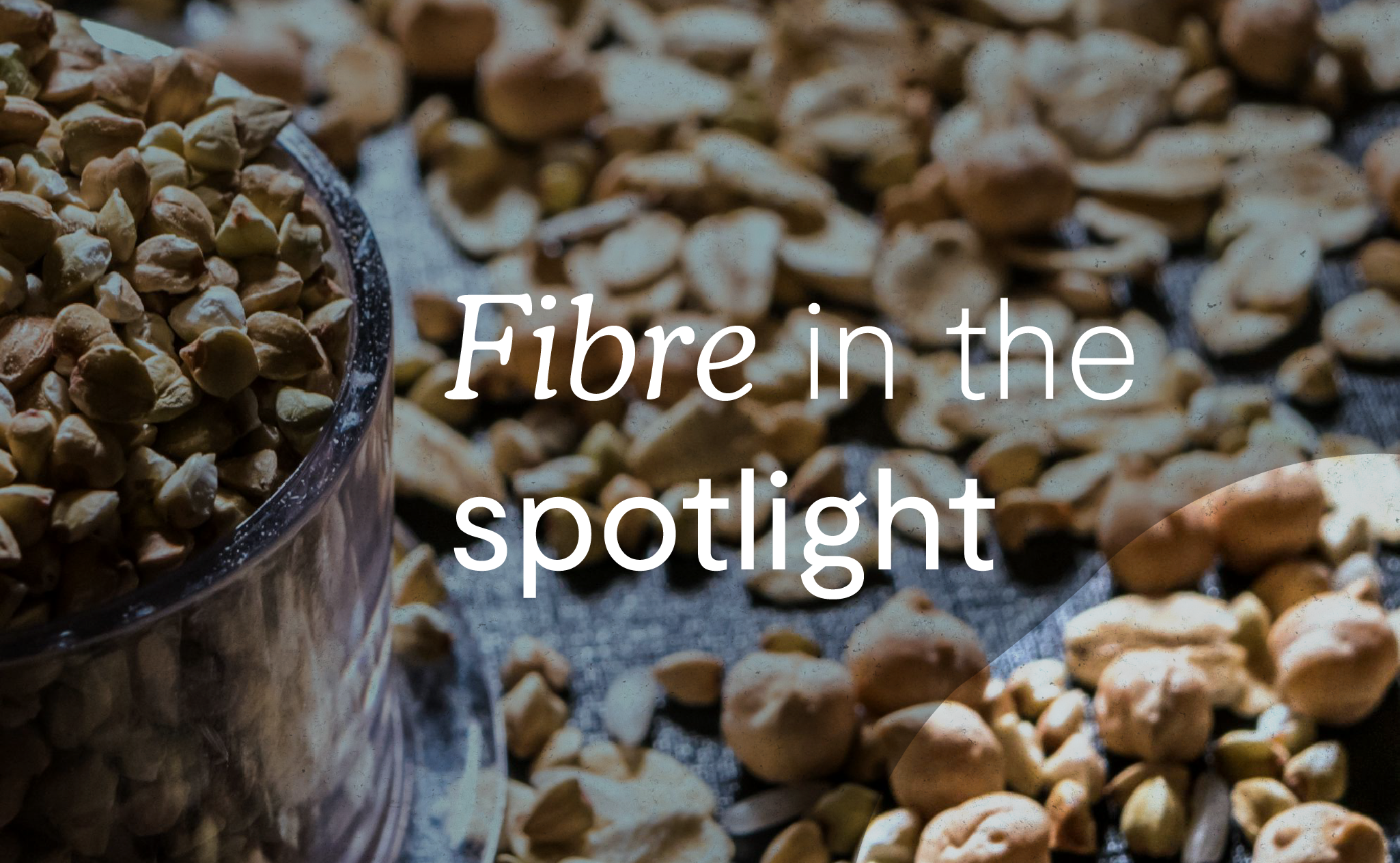 Fibre article_website_Img