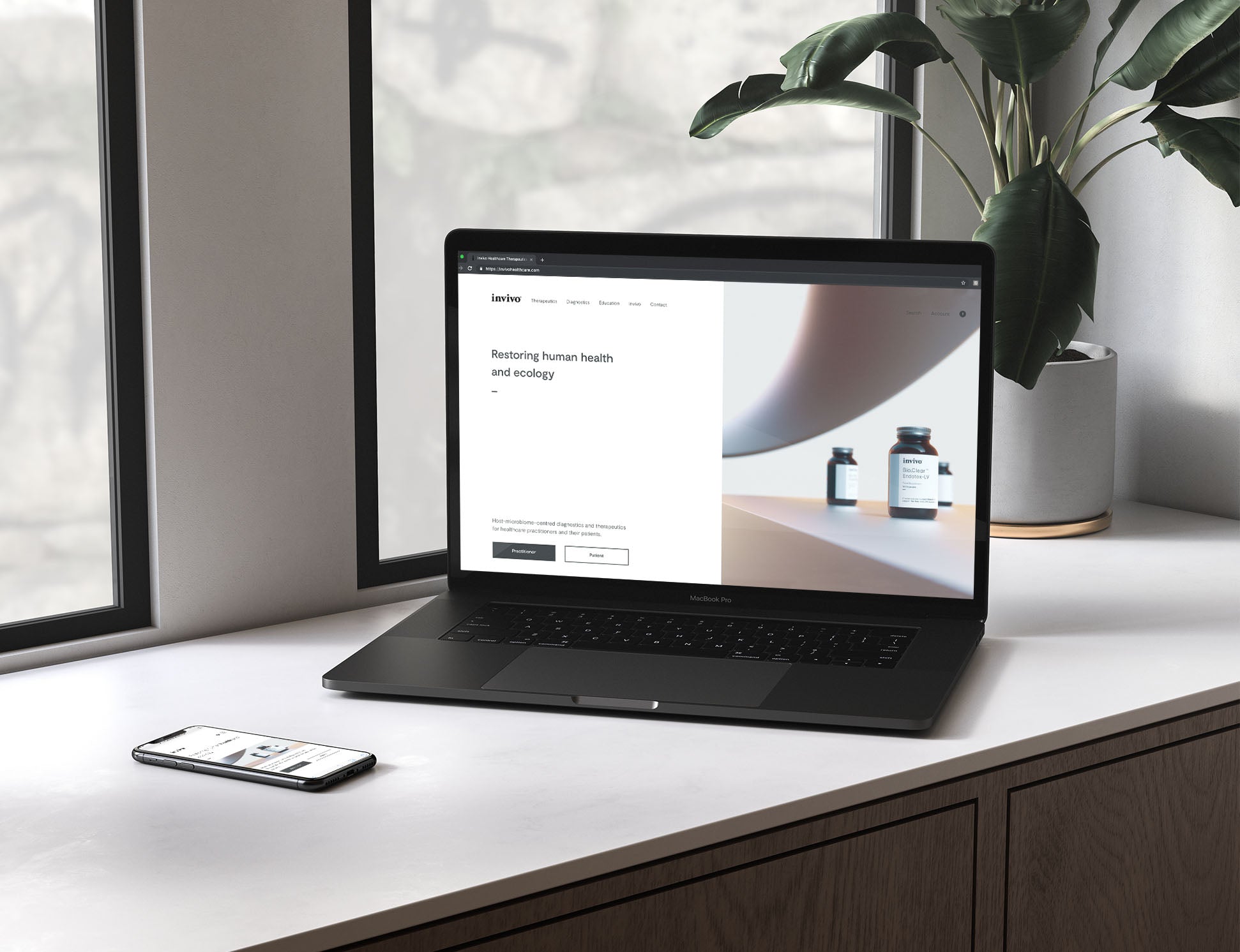 Laptop on a desk beside a plant