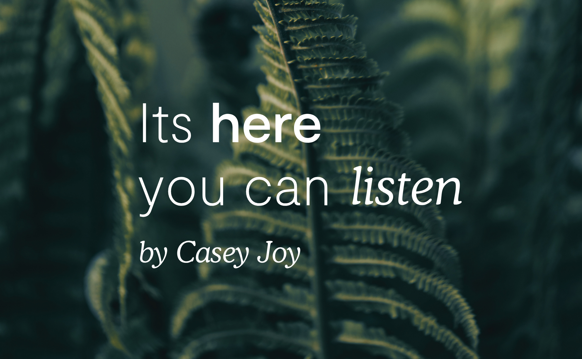 'It's here you can listen'