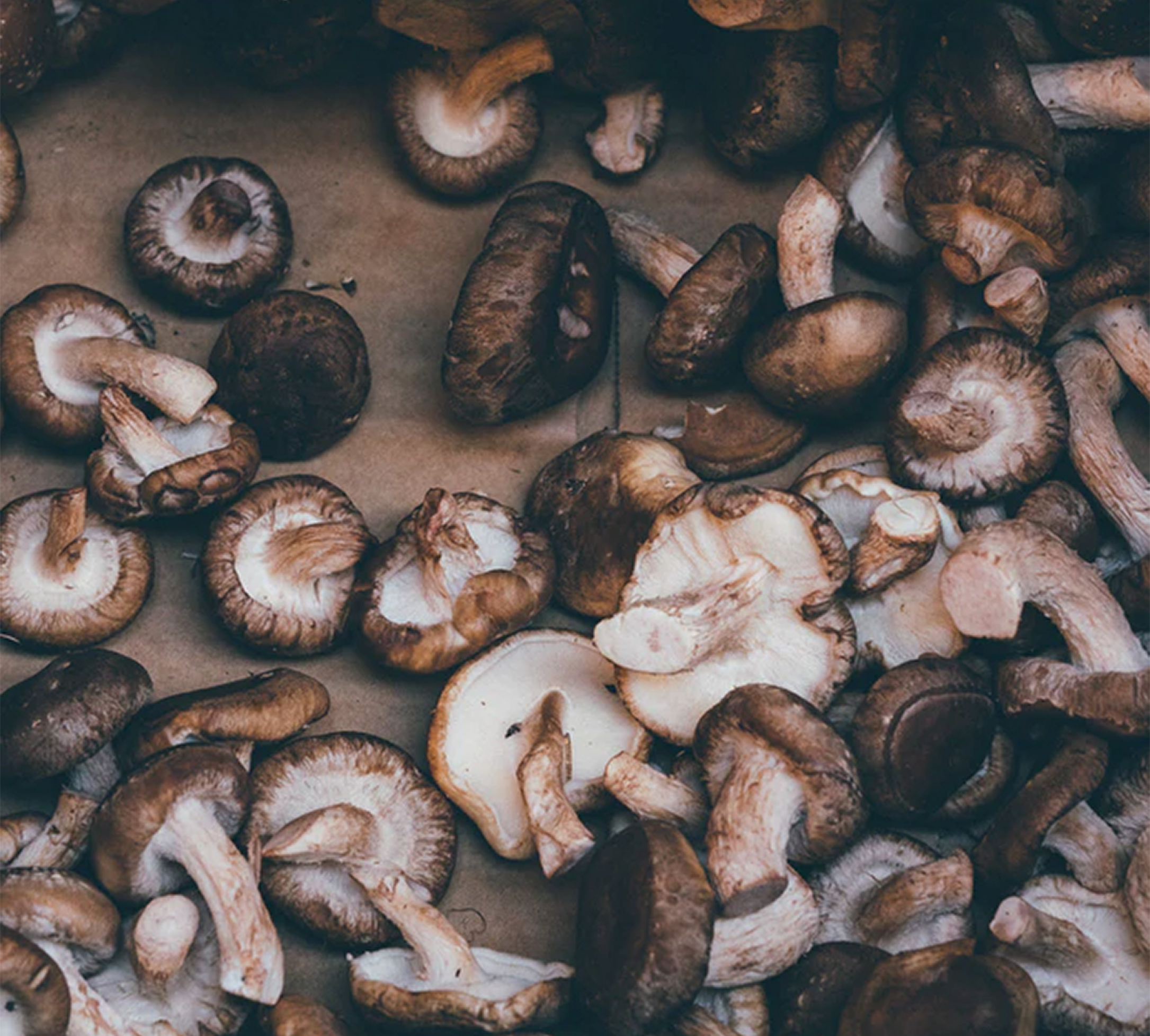 Sliced shiitake mushrooms