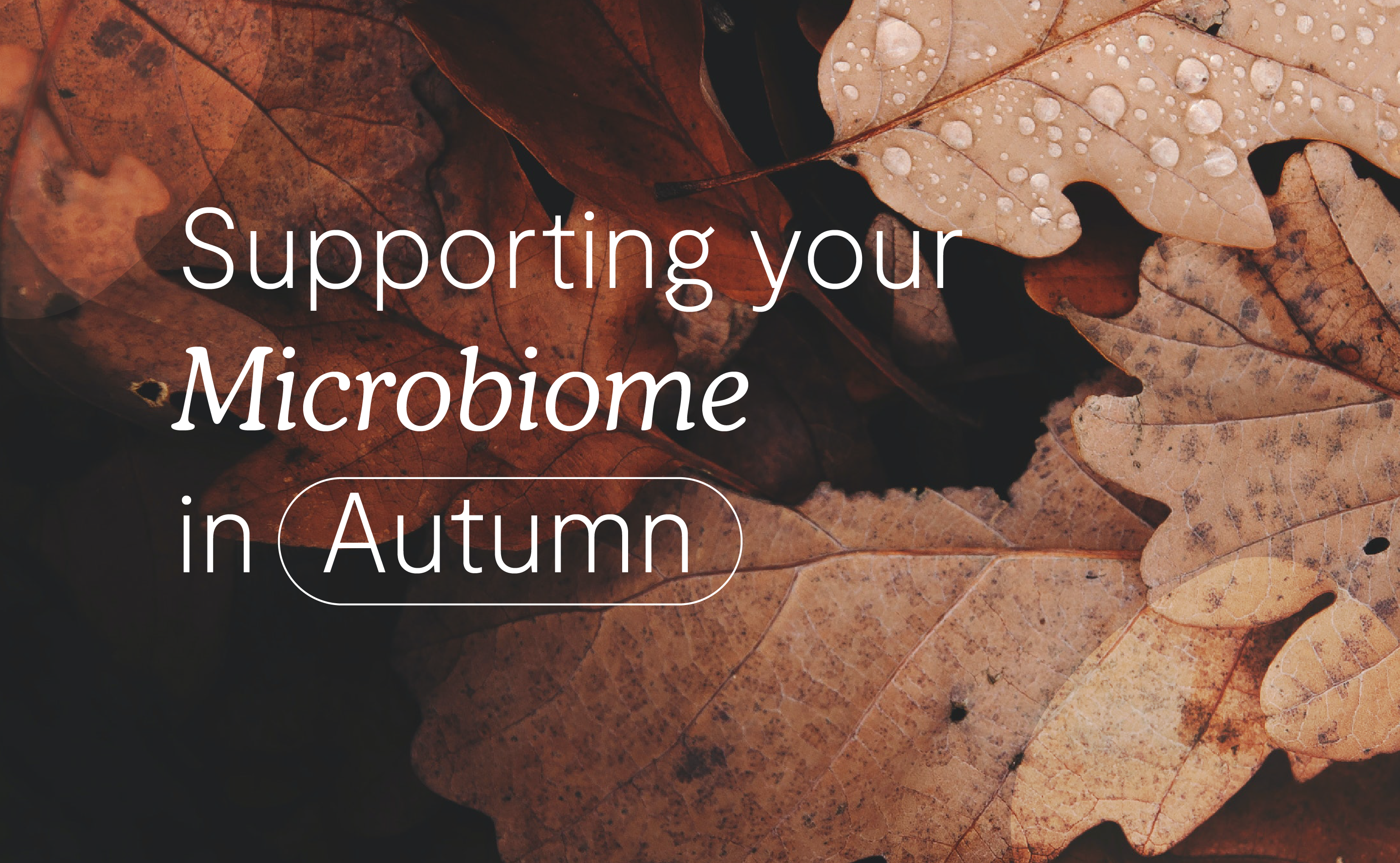 Article title card for the autumn microbiome article, on a background of autumn leaves