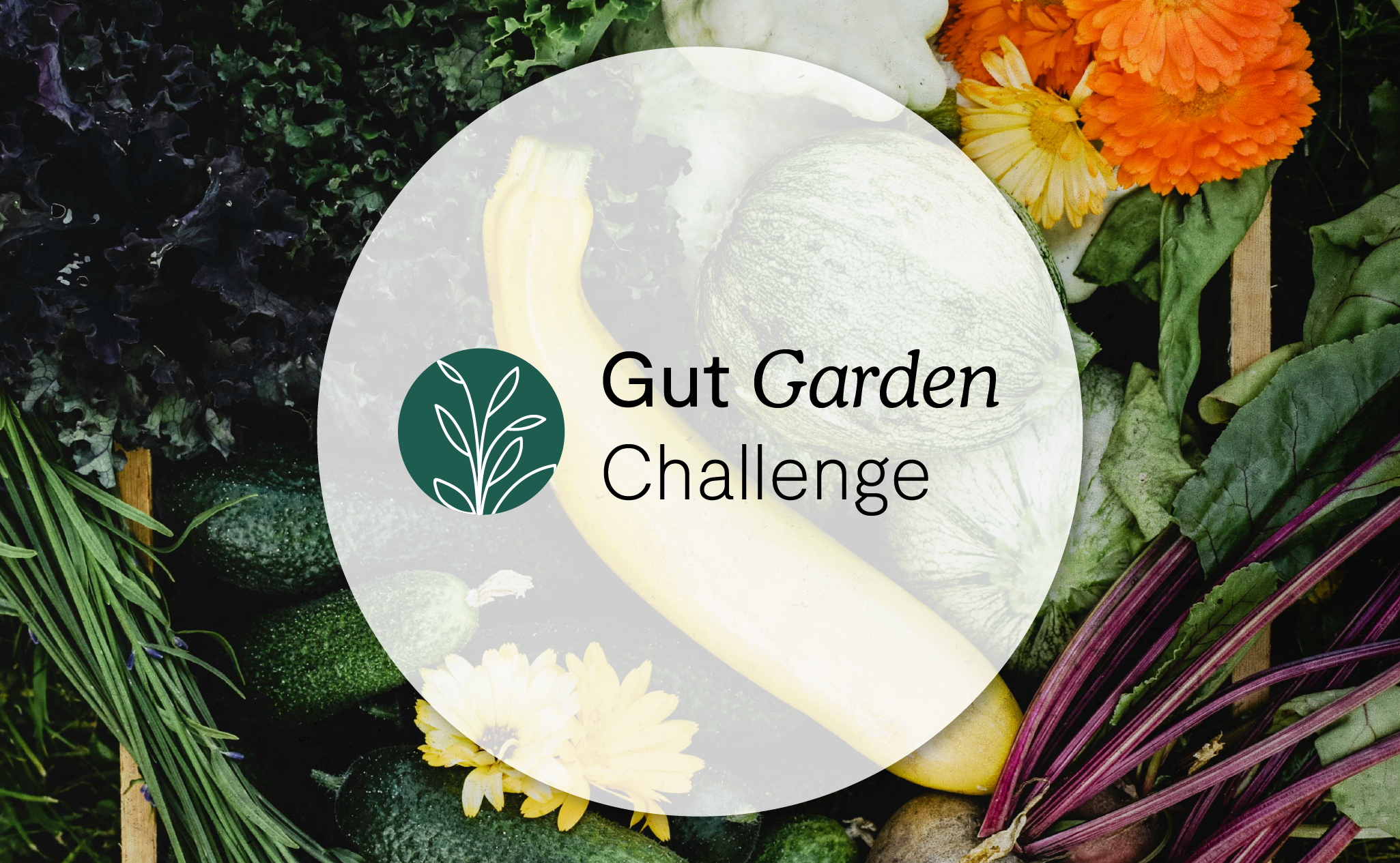 Article title card for the Gut Garden Challenge, on a background of fresh vegetables