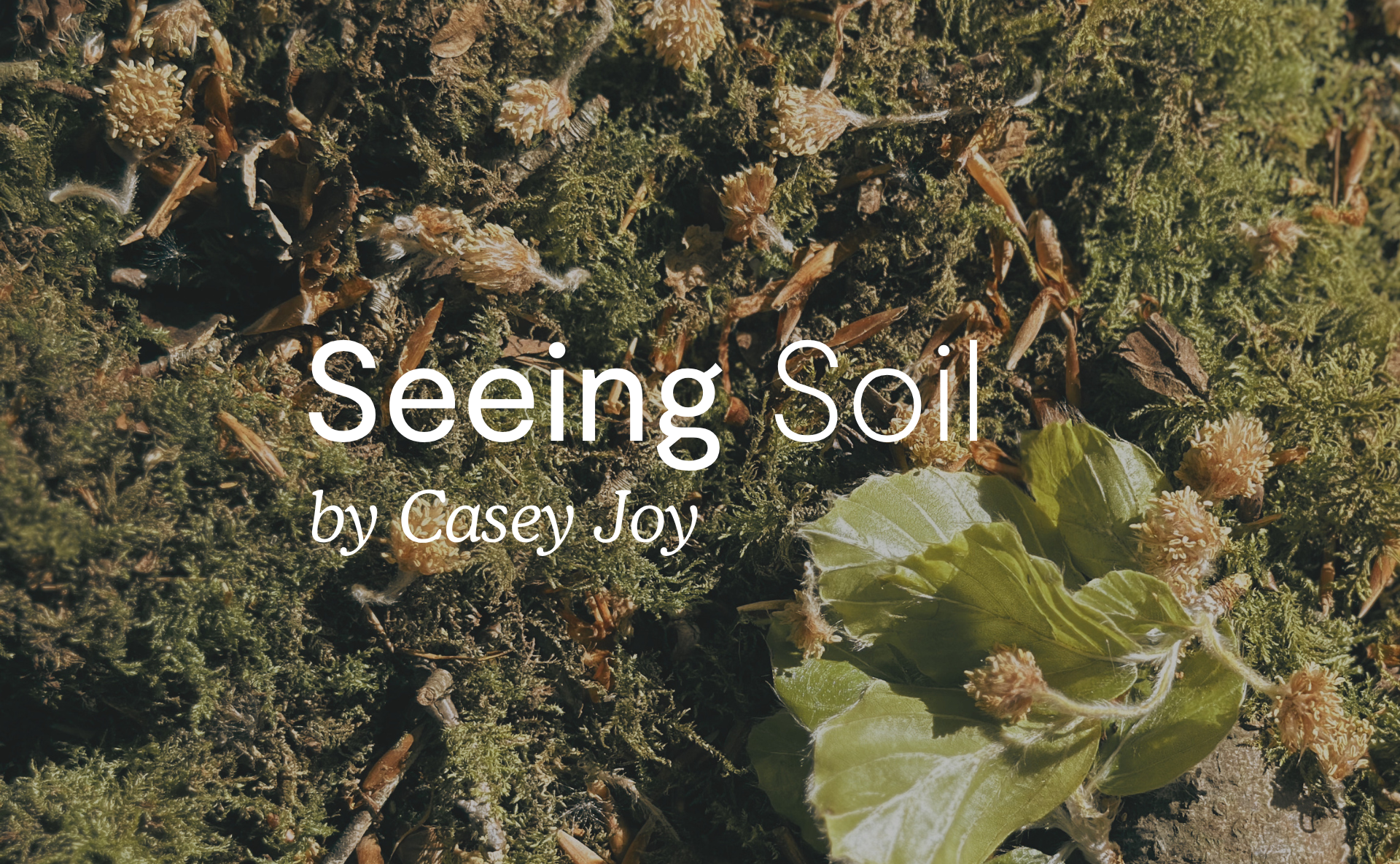 Article title card for the soil article by Casey Joy, on a plant background