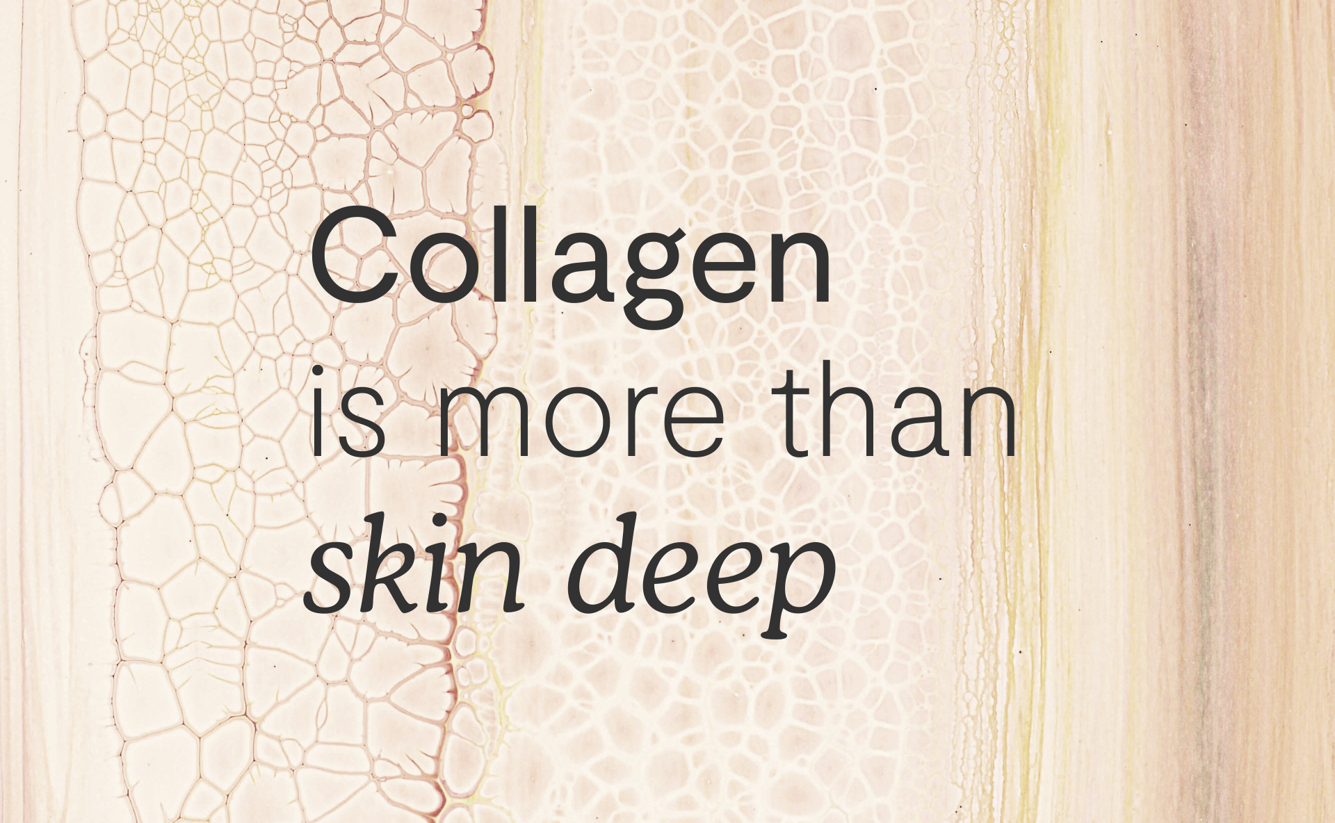 Article title card for the collagen article
