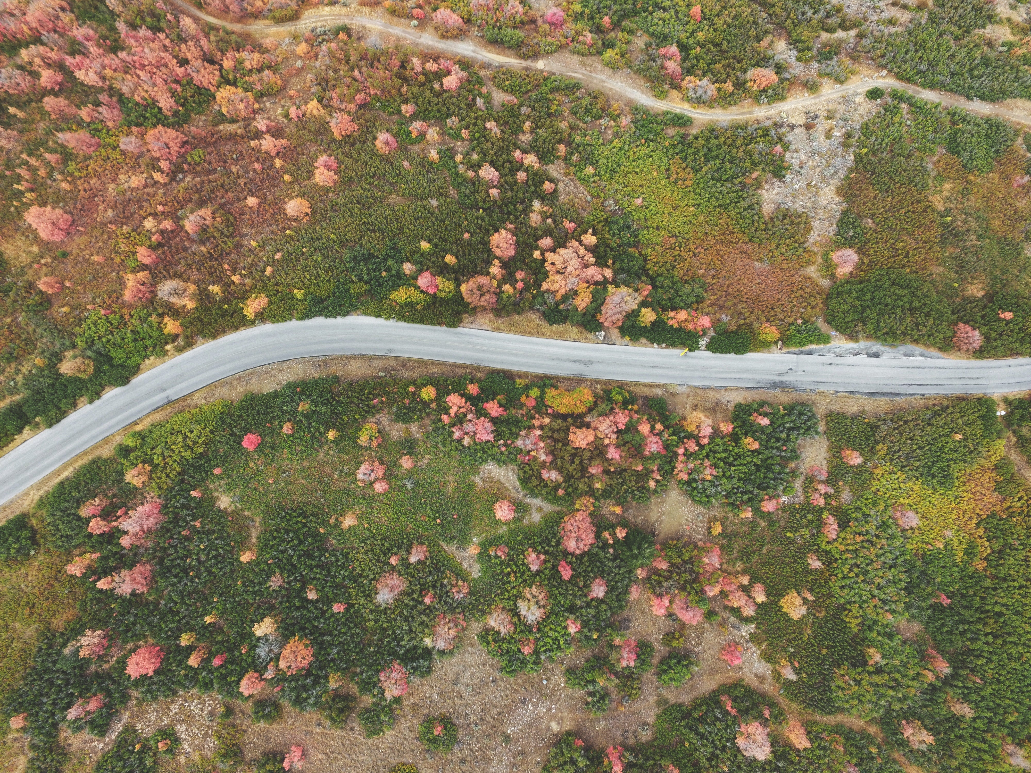 Aerial view of a river winding through green and pink moorland