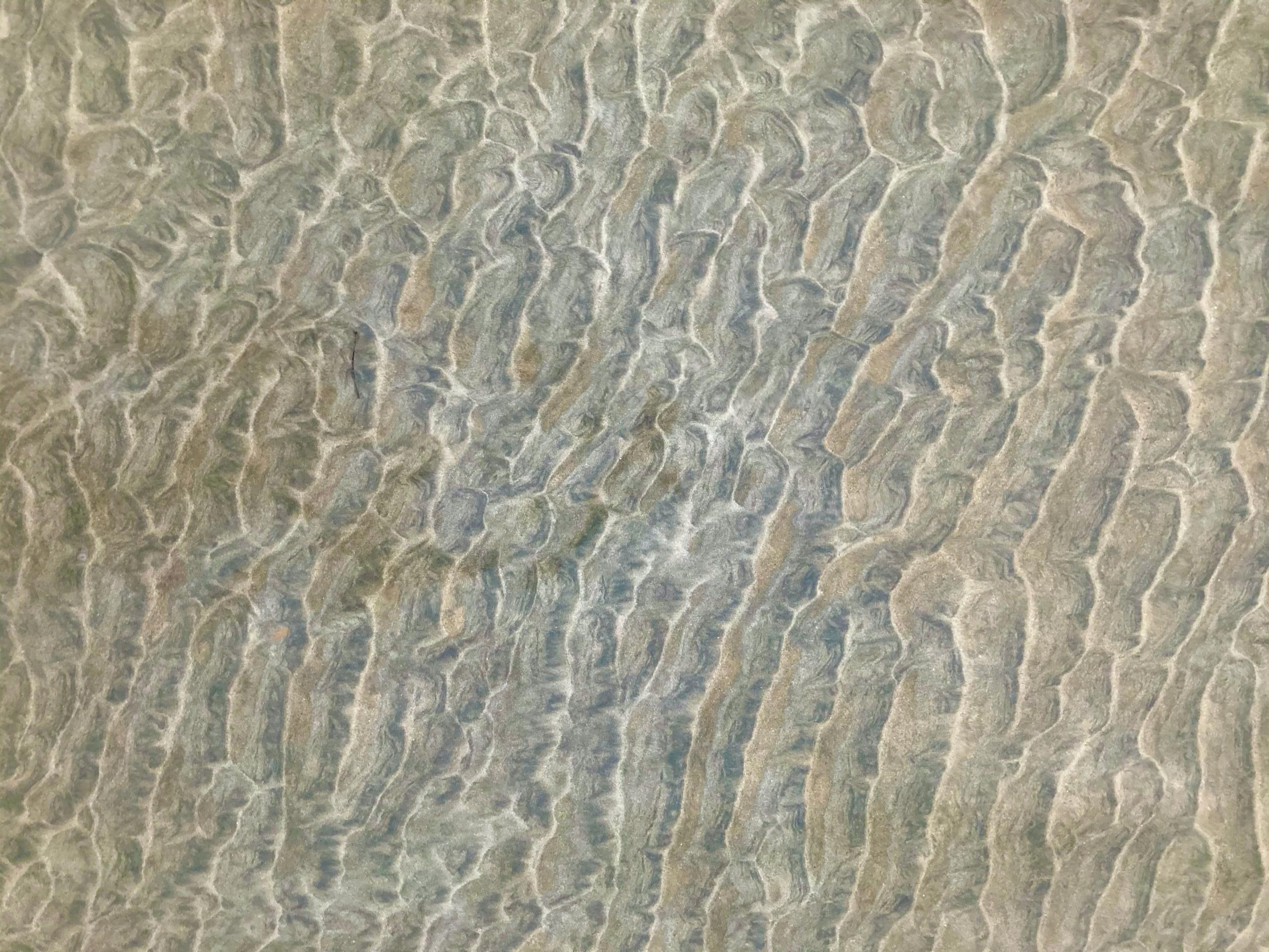 Abstract pale cracked texture