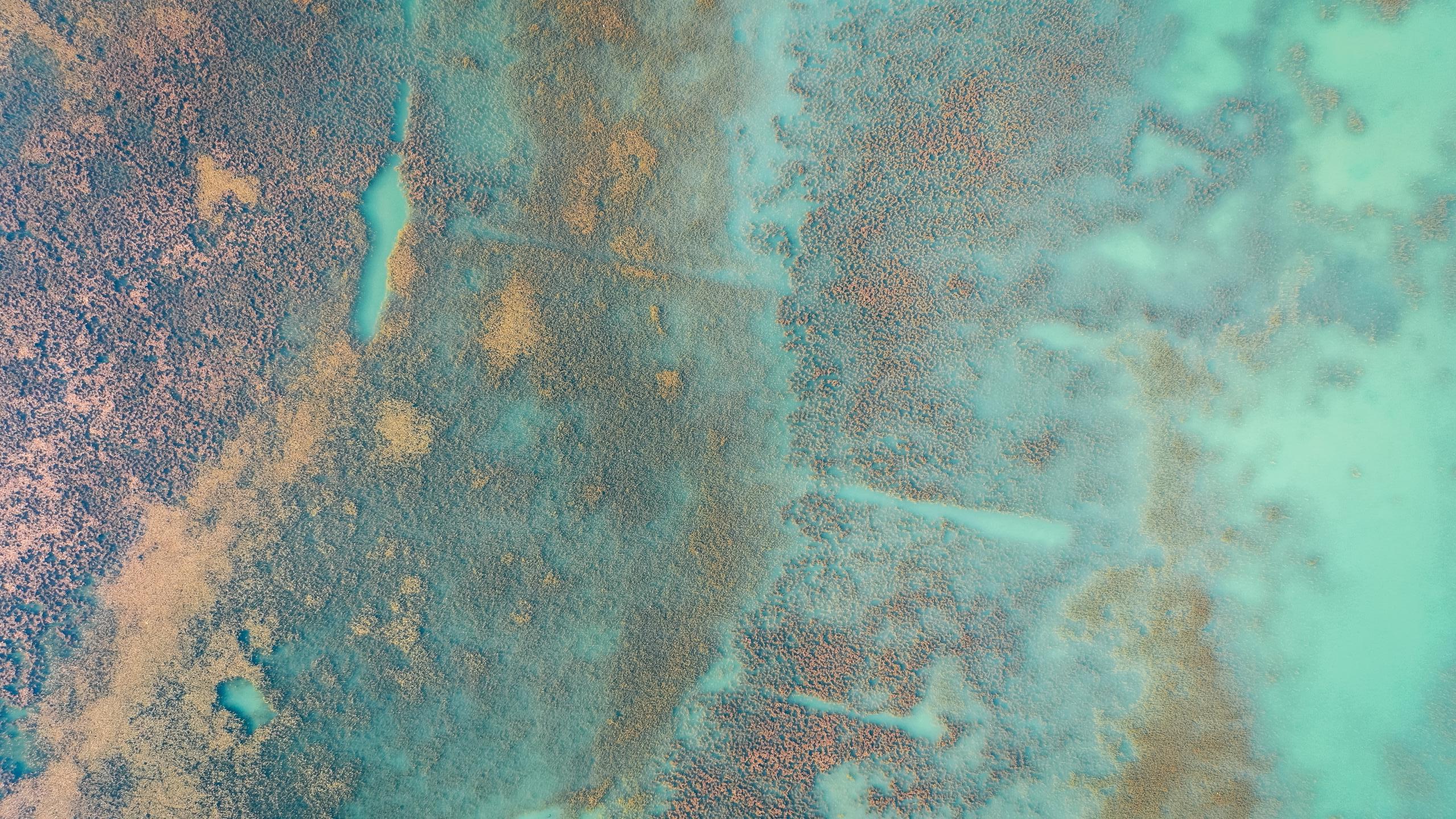 Aerial view of turquoise and copper coloured terrain