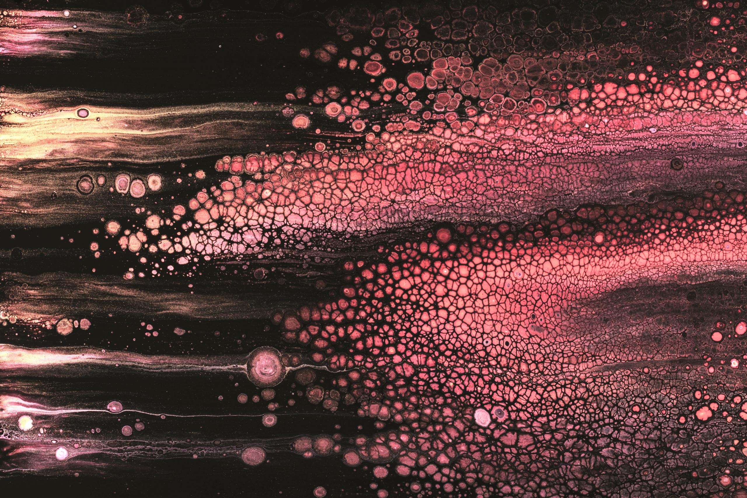 Abstract pink particles on a dark background