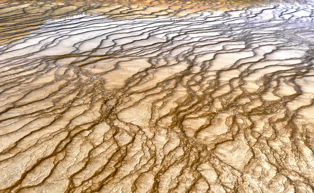 Aerial view of golden braided river channels