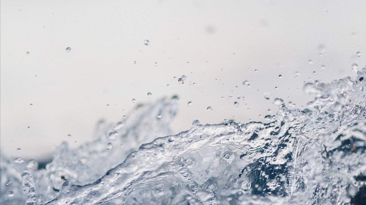 Splash of clear water on a white background
