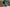 Promotion banner