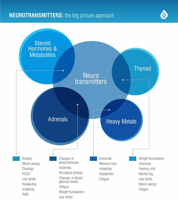 Neurotransmitters: the big picture approach