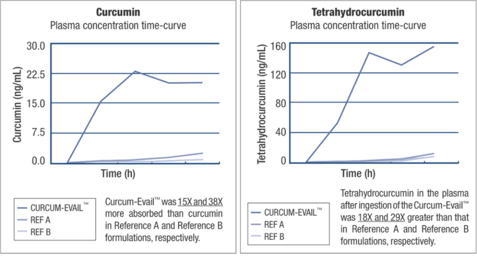 Absorption Study