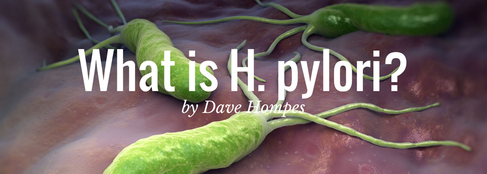 H Pylori